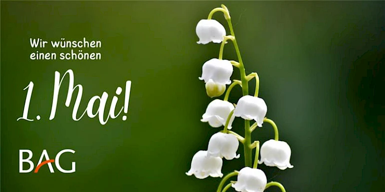 Header Grafik