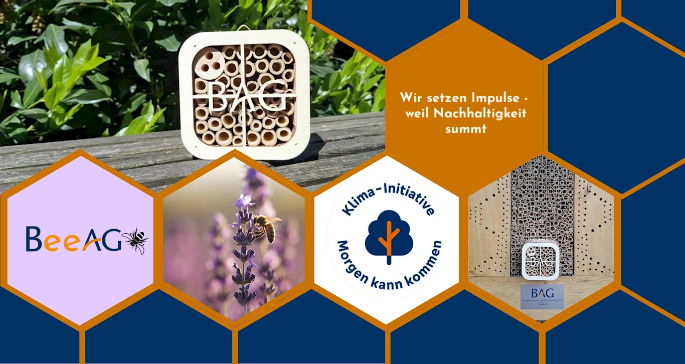 Ein Zuhause für Wildbienen. Ein Zeichen für Nachhaltigkeit.