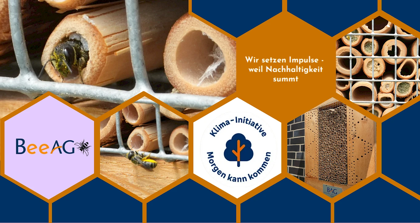 Einzug mit Summen – unsere ersten Gäste sind da!